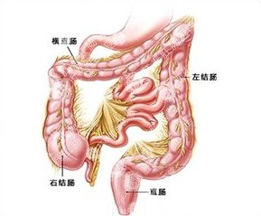 θ