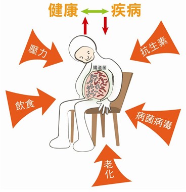 ءкƷ