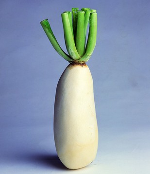ô