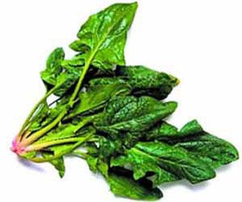 胃胀患者不能吃哪些食物?