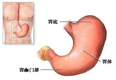 照胃镜难受吗?